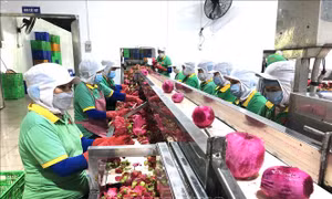 Dòng chảy tín dụng trên vùng 'cửa ngõ' kinh tế