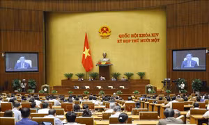 Trình Quốc hội phê chuẩn việc bổ nhiệm 2 Phó Thủ tướng và 12 bộ trưởng, trưởng ngành
