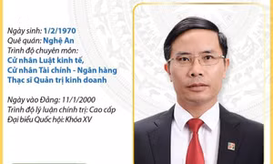Phó Bí thư Tỉnh ủy, Chủ tịch UBND tỉnh Quảng Ninh Phạm Đức Ấn
