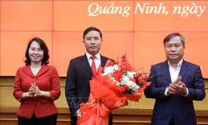 Thủ tướng Chính phủ phê chuẩn kết quả bầu Chủ tịch UBND tỉnh Quảng Ninh