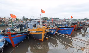 Hải Phòng ban hành công văn khẩn tăng cường phòng, chống áp thấp nhiệt đới