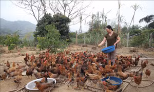Mong muốn có thêm những chính sách hỗ trợ đồng bào miền núi