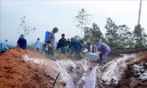 Tạm đình chỉ 2 cán bộ thú y do sai phạm trong kiểm dịch