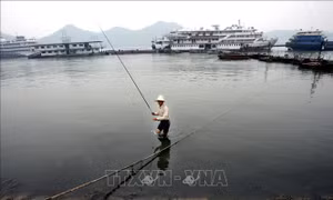 Giải mã 'thủ phạm' nhấn chìm nền văn minh cổ đại trên sông Dương Tử
