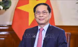 79 năm Ngoại giao Việt Nam: Phát huy truyền thống vẻ vang, góp phần thực hiện thắng lợi các mục tiêu chiến lược của đất nước