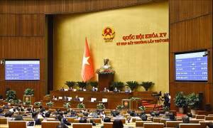Thông qua cơ chế, chính sách đặc biệt đầu tư Dự án điện hạt nhân Ninh Thuận