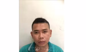 Bắt tạm giam lái xe gây tai nạn giao thông làm chết 3 người