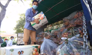 Yêu cầu các địa phương báo cáo khó khăn, vướng mắc và đề xuất giải pháp tháo gỡ