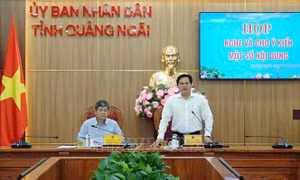 Gỡ vướng dự án khí điện, năng lượng do EVN đầu tư tại Dung Quất