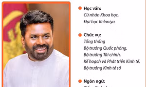 Tổng thống nước Cộng hòa xã hội chủ nghĩa dân chủ Sri Lanka