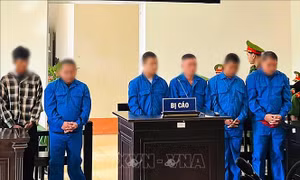 Bản án nghiêm khắc cho nhóm đối tượng thực hiện hàng loạt vụ cướp để mua ma túy