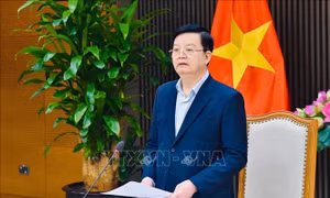 Kiện toàn nhân sự BCĐ Trung ương Phong trào 'Toàn dân đoàn kết xây dựng đời sống văn hóa'