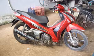Truy đuổi hơn 70 km bắt đối tượng trộm cắp xe máy