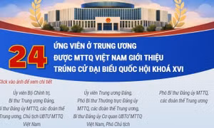 24 ứng viên ở Trung ương được Mặt trận Tổ quốc giới thiệu trúng cử đại biểu Quốc hội khóa XVI (Phần 1)