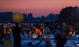 Hiện tượng 'đêm nhiệt đới' bao trùm Hàn Quốc