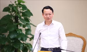 Phân công Phó Chủ tịch Thường trực Ủy ban sông Mê Công Việt Nam