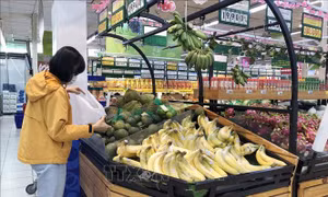 Người tiêu dùng ưu tiên tạo đầu ra cho nông sản Việt
