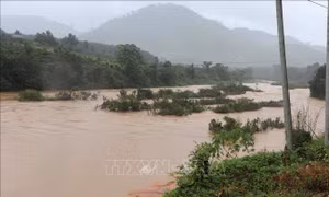 Kon Tum: Chủ động ứng phó với thiên tai