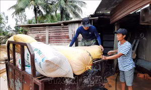 Bàn phương án hỗ trợ người dân Quảng Trị tái sản xuất sau lũ lụt