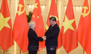 Điện mừng 74 năm ngày thành lập nước Cộng hòa nhân dân Trung Hoa