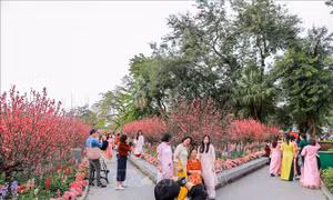 Sức sống từ những nghị quyết hợp 'lòng dân'