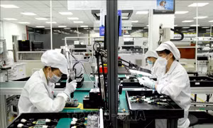 Tiến sĩ Đại học Deakin (Australia) đánh giá Việt Nam có nền kinh tế thị trường