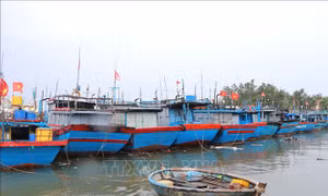 Xử lý nghiêm trường hợp cố tình vi phạm quy định phòng, chống thiên tai
