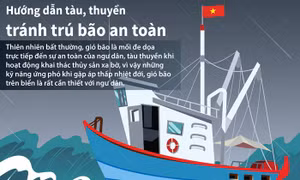 Hướng dẫn tàu, thuyền tránh trú bão an toàn