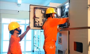 Đóng điện dự án cấp điện bằng cáp ngầm cho xã đảo Nhơn Châu
