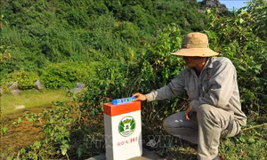 Cắm mốc phân giới Di sản thế giới Tràng An