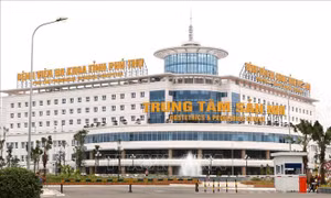 Bé gái 3 tuổi bị chó nhà hàng xóm cắn thương tâm