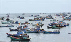 Đưa hàng hóa ra xã đảo phục vụ mua sắm Tết