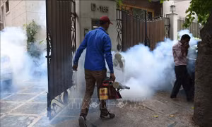 Số ca sốt xuất huyết tăng mạnh tại New Delhi