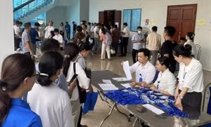 Sẽ dừng phiên đấu giá đất nếu phát hiện hành vi thông đồng, dìm giá
