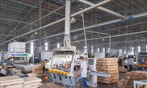 Bình Dương tận dụng cơ hội thu hút vốn FDI sau khi bình thường mới
