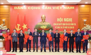 Hội nghị Trung ương 2: Hướng tới một hệ sinh thái nghiên cứu hiện đại