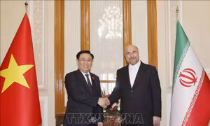 ​Chủ tịch Quốc hội Vương Đình Huệ hội đàm với Chủ tịch Quốc hội Iran 