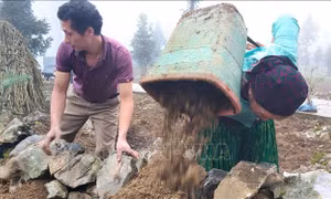 Hà Giang: Phát triển kinh tế vườn, tạo thu nhập khá cho trên 6.500 hộ vào năm 2025