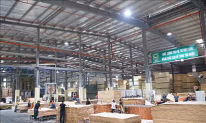 Dữ liệu trở thành 'hộ chiếu' cho nông, lâm sản Việt vào EU
