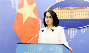 Bộ Ngoại giao thông tin về việc Hoa Kỳ bàn giao 5 máy bay huấn luyện cho Việt Nam
