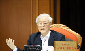 Từ 'mã bên ngoài' nghĩ về sự thận trọng, tinh tường trong lựa chọn cán bộ