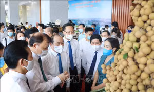 Kết nối cung cầu tiêu thụ nhãn và nông sản tại Hưng Yên
