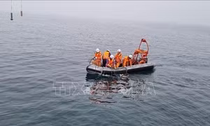 Đưa thi thể 4 ngư dân gặp nạn trên biển về quê mai táng
