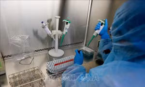 Bệnh viện Trung ương Huế xét nghiệm được virus Corona
