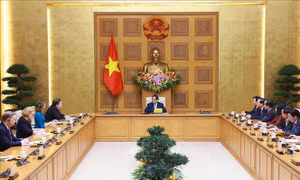Thủ tướng Phạm Minh Chính tiếp Đại sứ Hoa Kỳ Marc Evans Knapper