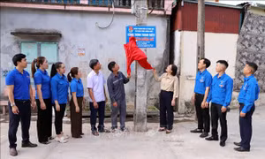 Tháng Thanh niên 2026: Hơn 5,6 triệu lượt thanh niên tham gia hoạt động tình nguyện