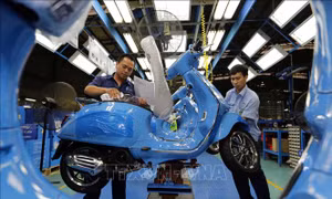 Doanh nghiệp Italy ngày càng quan tâm tới thị trường Việt Nam