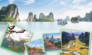 Việt Nam giành nhiều hạng mục giải thưởng quan trọng của Tripadvisor