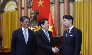 Chủ tịch nước Lương Cường tiếp Trưởng Ban Thanh niên Đảng Dân chủ tự do Nhật Bản