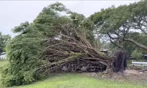 Bão Mawar đổ bộ vào lãnh thổ Guam thuộc Mỹ